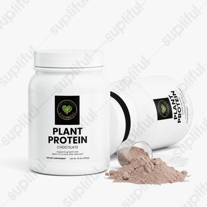 Plant Protein (Chocolate)